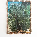 לינה וארוחת בוקר Il Giardino Delle Zie 4*
