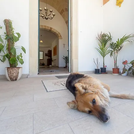 Bed & Breakfast Il Giardino Delle Zie *