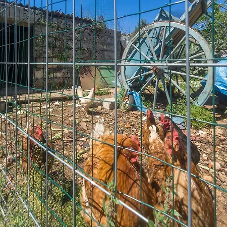 Bed & Breakfast Il Giardino Delle Zie